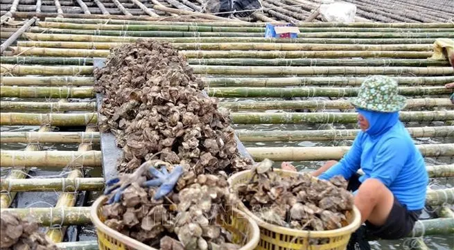 PM urges stepping up agricultural production recovery after Typhoon Yagi