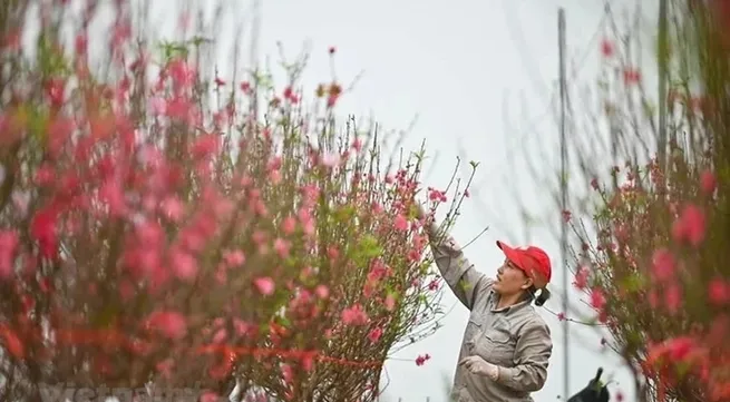 2025 Lunar New Year holiday plan submitted to PM