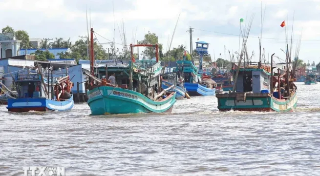 Ca Mau tightens control over 'three Nos' fishing vessels
