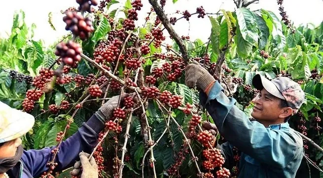 Agricultural exports likely to exceed 60 billion USD amid challenges