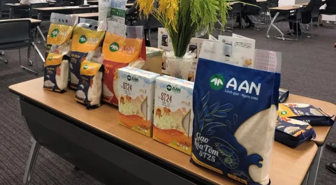 Rice exports: the bright and dark aspects