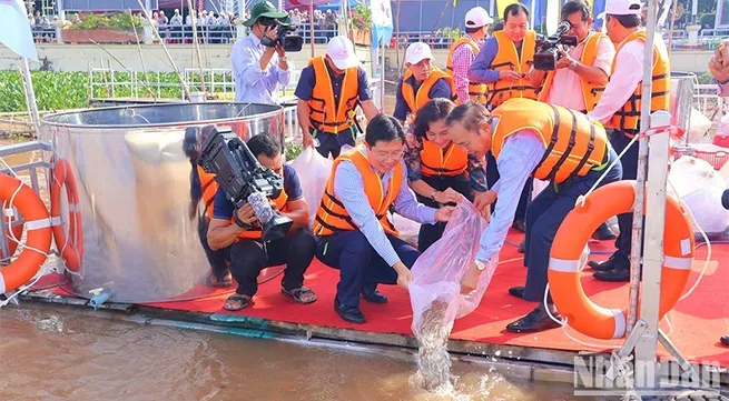 Dong Thap: Fish released to regenerate fisheries resources