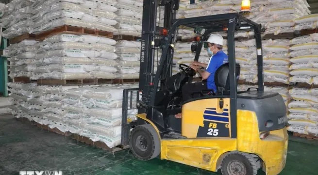 Rice exports top 8 million tonnes