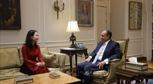 Vietnam, Egypt promote all-round cooperation