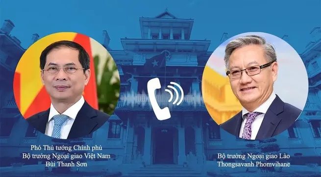 Vietnamese, Lao FMs hold online talks