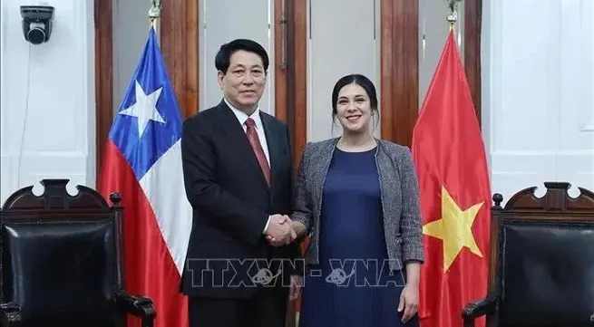 Parliamentary ties crucial to Vietnam - Chile comprehensive partnership: State leader