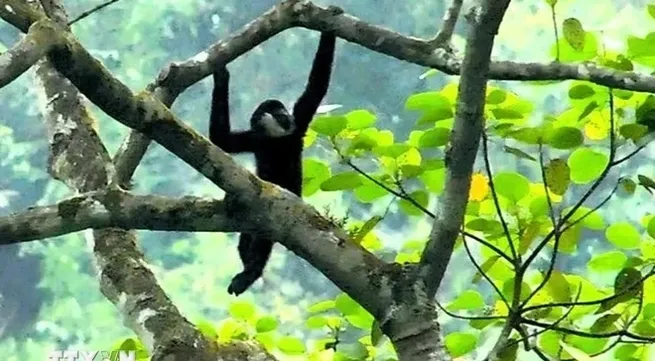 Approval of national biodiversity conservation plan to 2050