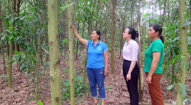 Policy credit support - leverage for poverty alleviation in Tuyen Quang