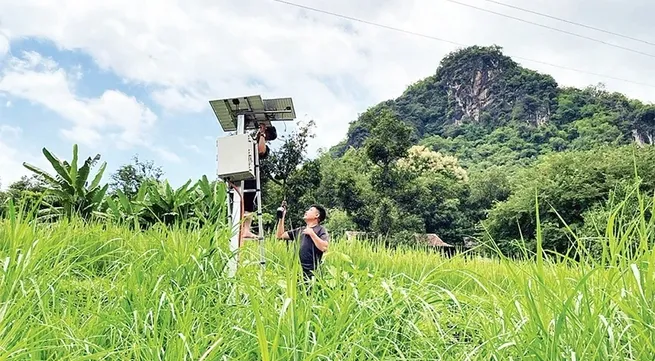 Community-based early disaster warning system