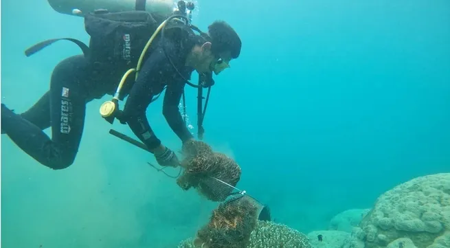 Top 10 key environmental and natural resource events in Vietnam in 2024