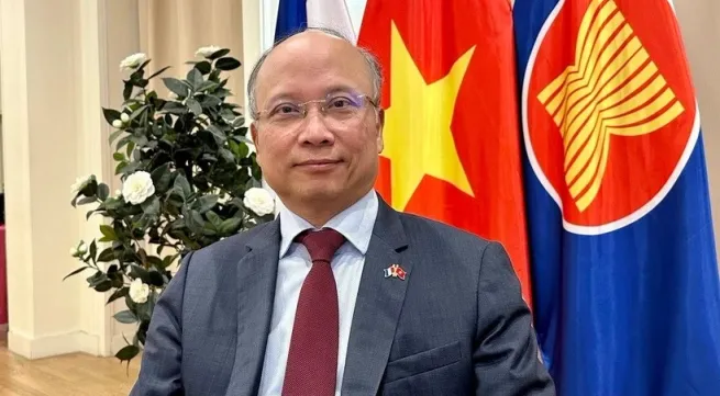 Vietnam-France ties reach new height in 2024: Ambassador