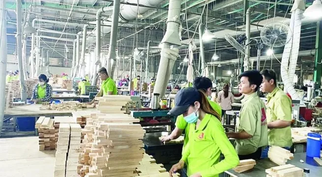 Forestry exports set a record of 17.3 billion USD