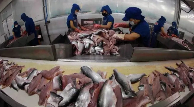 Vietnam back as ASEAN’s growth star: HSBC