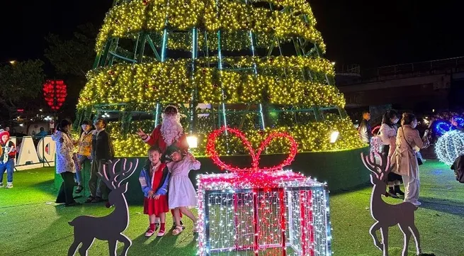 Da Nang to host New Year Festival to attract tourists