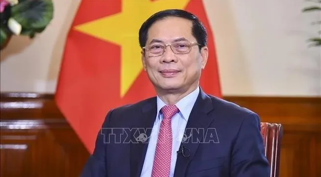 Diplomatic achievements in 2024 set stage for Vietnam's new era: Deputy PM