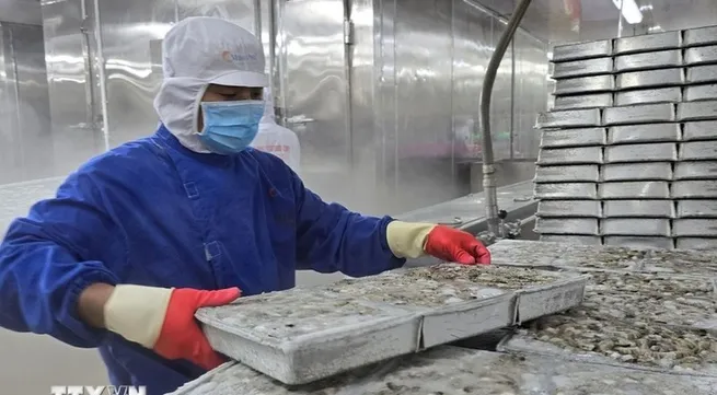 Eleven-month seafood export almost reaches 9.2 billion USD