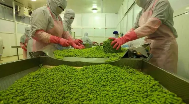 Fruit-vegetable sector targets 10 billion USD in exports by 2030