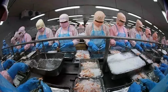 Vietnam secures top five spot in Singapore's seafood market