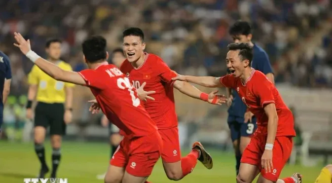 Vietnam win ASEAN Cup trophy