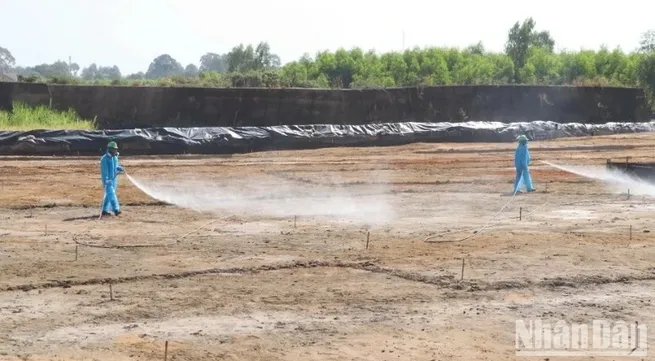 Funding for dioxin remediation at Bien Hoa Airport raised to 430 million USD