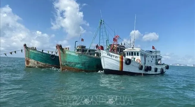 Ba Ria-Vung Tau resolves 100% of 'three no's' fishing boats to address IUU yellow card