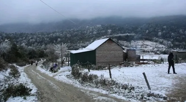 Severe cold wave hits Northern and North Central Vietnam