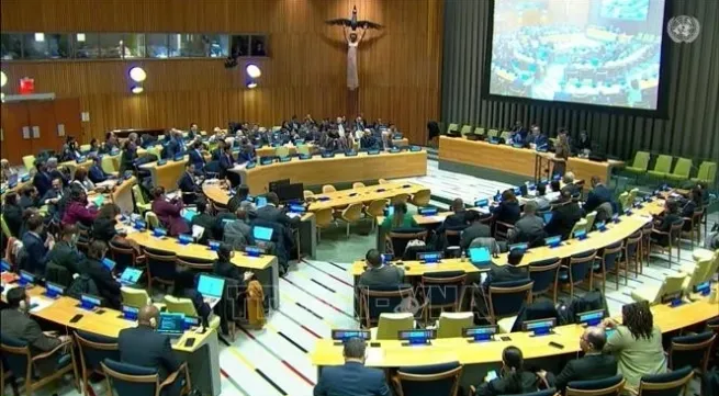 Vietnam committed to supporting nuclear weapon-free world: Ambassador