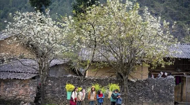 Ha Giang targets 3.5 million visitors in 2025