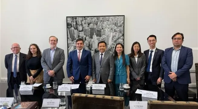 Vietnam, Brazil promote cooperation potential