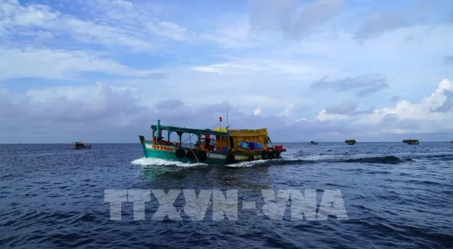 Kien Giang intensifies fight against IUU fishing to have EC’s 'yellow card' removed