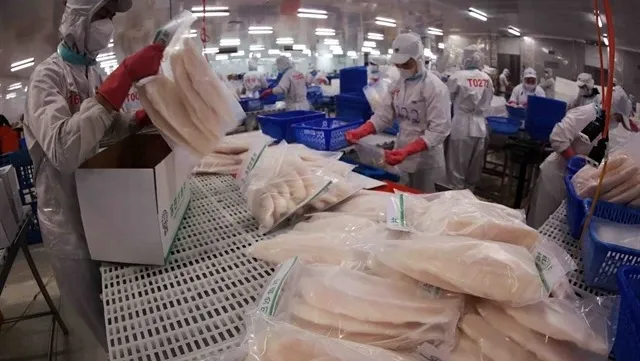 Tra fish exports on track reach close to 2 billion USD in 2025