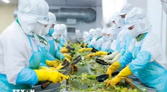 Party leader’s visit hoped to foster Vietnam- Azerbaijan political trust