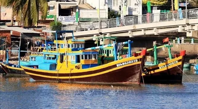 Binh Thuan ramps up measures to combat IUU fishing