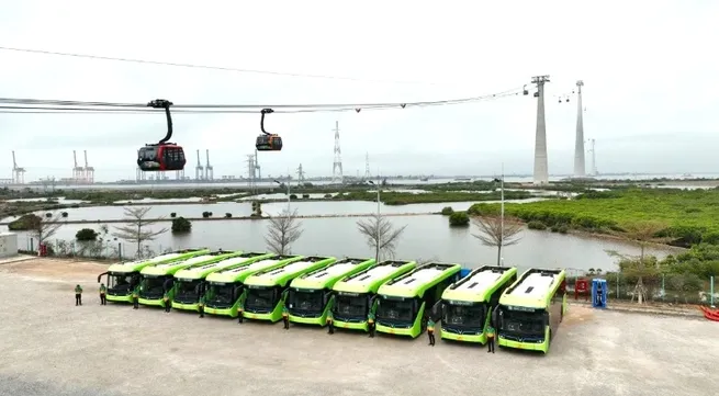 Cat Ba greens public transport to develop tourism