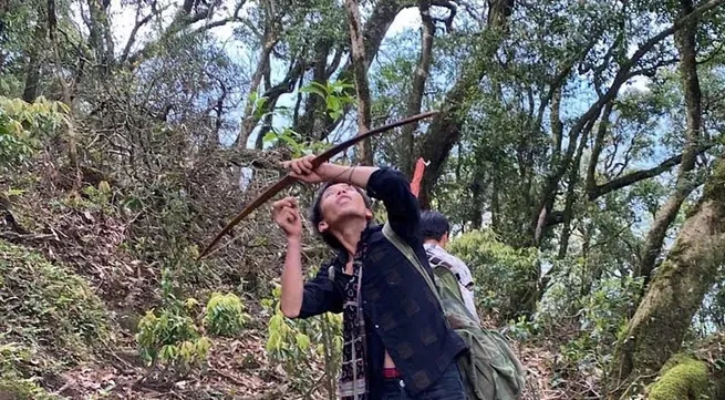 Accelerating completion of wildlife protection legislation