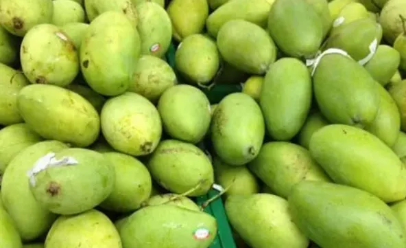 Trade drives growth momentum for Vietnam's economy in seven months