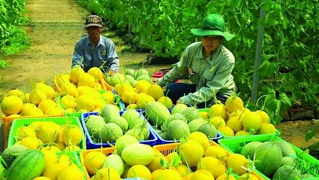 E-commerce to support farmers with market access