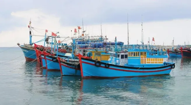 Ben Tre cracks down on illegal fishing to lift EC’s yellow card warning