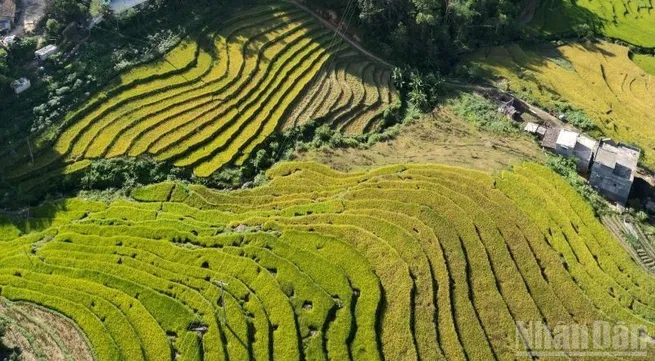 Agricultural production grows steadily in May