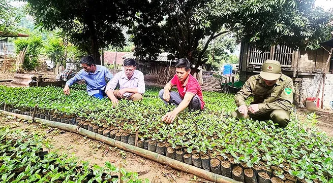 Hmong people escape poverty with coffee