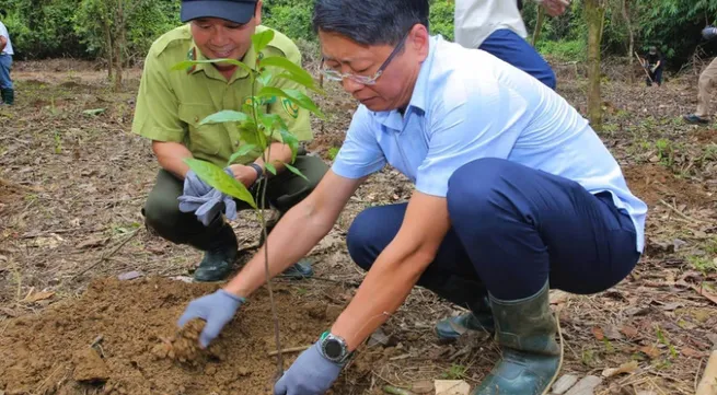 Hundreds of trees planted in Cuc Phuong National Park as part of Forestival