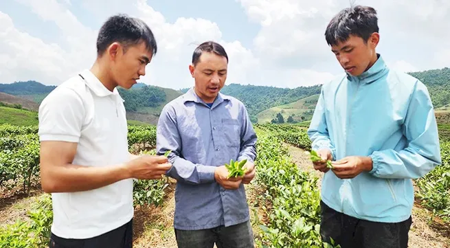 People's heart posture on the national frontier