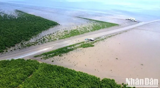 Spreading green living in communities