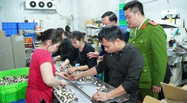 Strict measures to tackle commercial fraud, counterfeit goods in healthcare sector