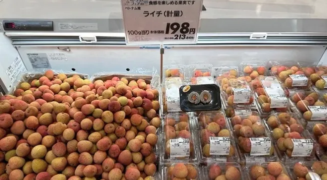 Vietnam Goods Week opens in Japan’s Saitama prefecture