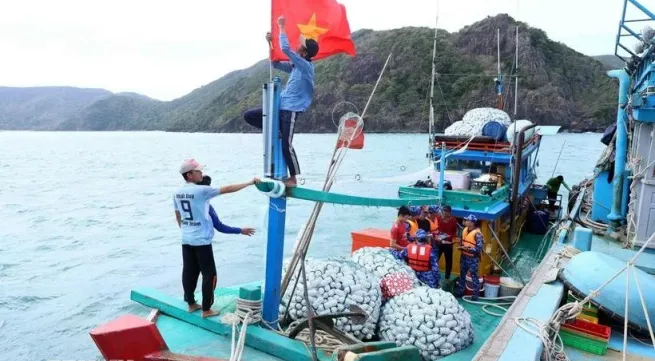 Tien Giang steps up efforts to combat IUU fishing