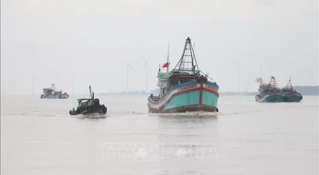 Ben Tre steps up efforts to fight IUU fishing