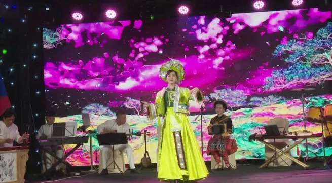 Vietnamese culture shines in Czech Republic