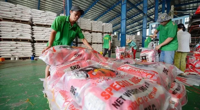 Market fluctuations challenge Viet Nam’s rice export sector