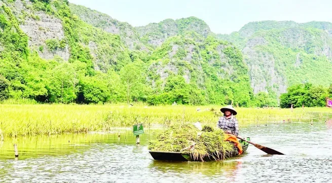 Returning to the place where farming originated